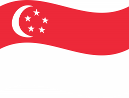 Singapore Flag