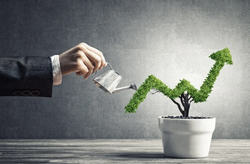 Business Growth Tips